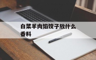 白菜羊肉馅饺子放什么香料