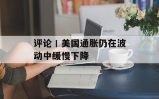 评论丨美国通胀仍在波动中缓慢下降