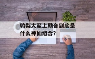 鸭梨大至上励合到底是什么神仙组合？
