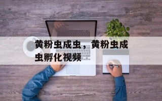 黄粉虫成虫，黄粉虫成虫孵化视频