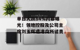 单日大跌84%内幕曝光！领地控股及公司主席刘玉辉遭港交所谴责