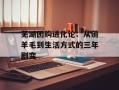 芜湖团购进化论：从薅羊毛到生活方式的三年剧变