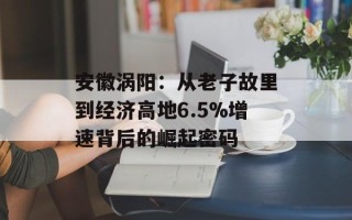 安徽涡阳：从老子故里到经济高地6.5%增速背后的崛起密码