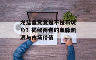 龙趸鱼究竟是不是石斑鱼？揭秘两者的血脉渊源与市场价值