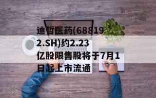 迪哲医 *** (6881 *** .SH)约2.23亿股限售股将于7月1日起上市流通