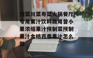 湘菜川菜粤菜火锅餐厅专用果汁饮料商用曾小果浓缩果汁预制菜预制果汁金桔百香果汁怎么做