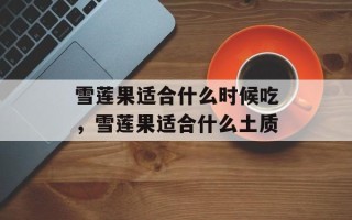 雪莲果适合什么时候吃，雪莲果适合什么土质
