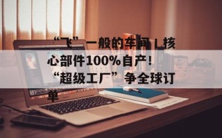 “飞”一般的车间丨核心部件100%自产！“超级工厂”争全球订单
