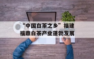 “中国白茶之乡”福建福鼎白茶产业蓬勃发展