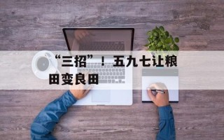 “三招”！五九七让粮田变良田