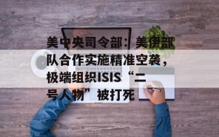 美中央司令部：美伊部队合作实施精准空袭，极端组织ISIS“二号人物”被打死