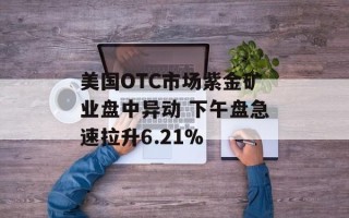 美国OTC市场紫金矿业盘中异动 下午盘急速拉升6.21%