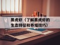 黑虎虾（了解黑虎虾的生态特征和养殖技巧）