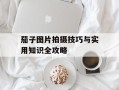 茄子图片拍摄技巧与实用知识全攻略