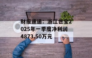 财报速递：浙江世宝2025年一季度净利润4873.50万元