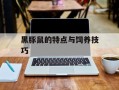 黑豚鼠的特点与饲养技巧