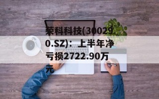荣科科技(300290.SZ)：上半年净亏损2722.90万元