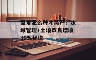 菱角怎么种才高产？水域管理+土壤改良增收30%秘诀