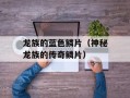 龙族的蓝色鳞片（神秘龙族的传奇鳞片）