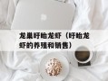 龙巢盱眙龙虾（盱眙龙虾的养殖和销售）