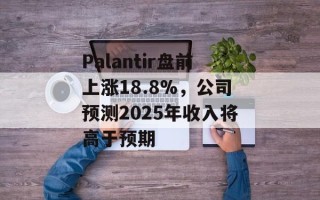 Palantir盘前上涨18.8%，公司预测2025年收入将高于预期