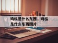 鸡枞是什么东西，鸡枞是什么东西图片