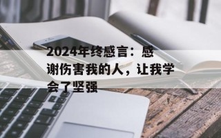 2024年终感言：感谢伤害我的人，让我学会了坚强