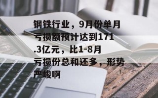 钢铁行业，9月份单月亏损额预计达到171.3亿元，比1-8月亏损份总和还多，形势严峻啊