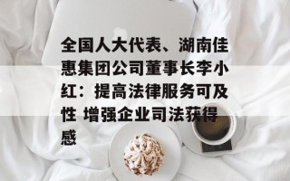 全国人大代表、湖南佳惠集团公司董事长李小红：提高法律服务可及性 增强企业司法获得感