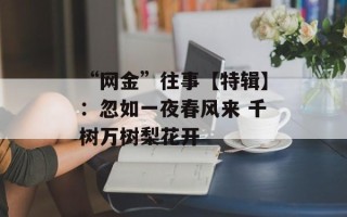 “网金”往事【特辑】：忽如一夜春风来 千树万树梨花开