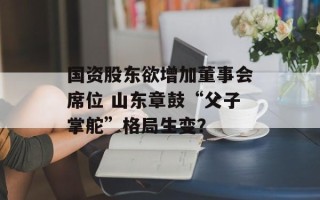 国资股东欲增加董事会席位 山东章鼓“父子掌舵”格局生变？