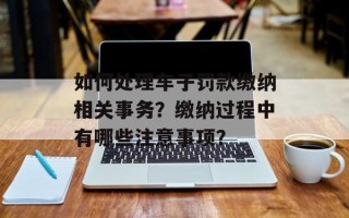 如何处理车子罚款缴纳相关事务？缴纳过程中有哪些注意事项？