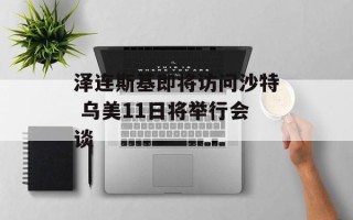泽连斯基即将访问沙特 乌美11日将举行会谈