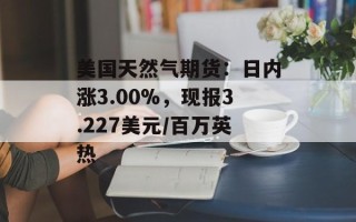 美国天然气期货：日内涨3.00%，现报3.227美元/百万英热