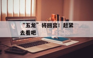 “五龙”将回宫！赶紧去看吧