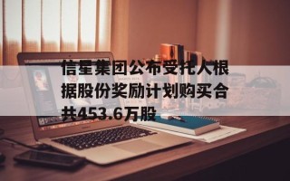 信星集团公布受托人根据股份奖励计划购买合共453.6万股