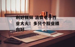 利好频频 消费电子行业大火！多只个股业绩向好