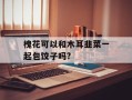 槐花可以和木耳韭菜一起包饺子吗?