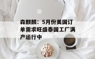 森麒麟：5月份美国订单需求旺盛泰国工厂满产运行中