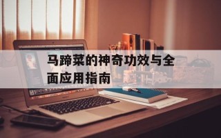 马蹄菜的神奇功效与全面应用指南