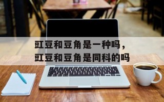 豇豆和豆角是一种吗，豇豆和豆角是同科的吗