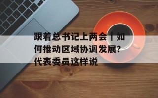 跟着总书记上两会｜如何推动区域协调发展？代表委员这样说