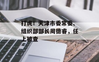 打虎！天津市委常委、组织部部长周德睿，任上被查