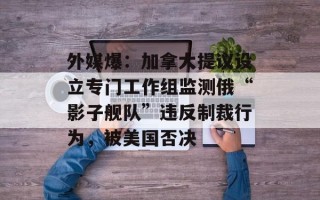 外媒爆：加拿大提议设立专门工作组监测俄“影子舰队”违反制裁行为，被美国否决