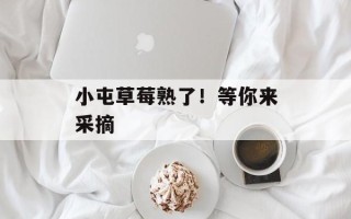 小屯草莓熟了！等你来采摘