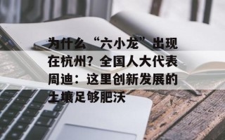 为什么“六小龙”出现在杭州？全国人大代表周迪：这里创新发展的土壤足够肥沃