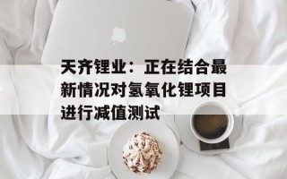 天齐锂业：正在结合最新情况对氢氧化锂项目进行减值测试