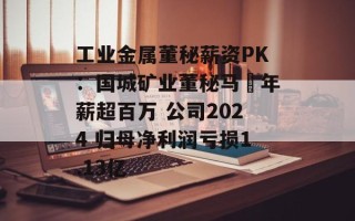 工业金属董秘薪资PK：国城矿业董秘马翀年薪超百万 公司2024 归母净利润亏损1.13亿