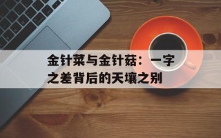 金针菜与金针菇：一字之差背后的天壤之别