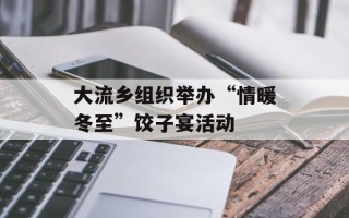 大流乡组织举办“情暖冬至”饺子宴活动